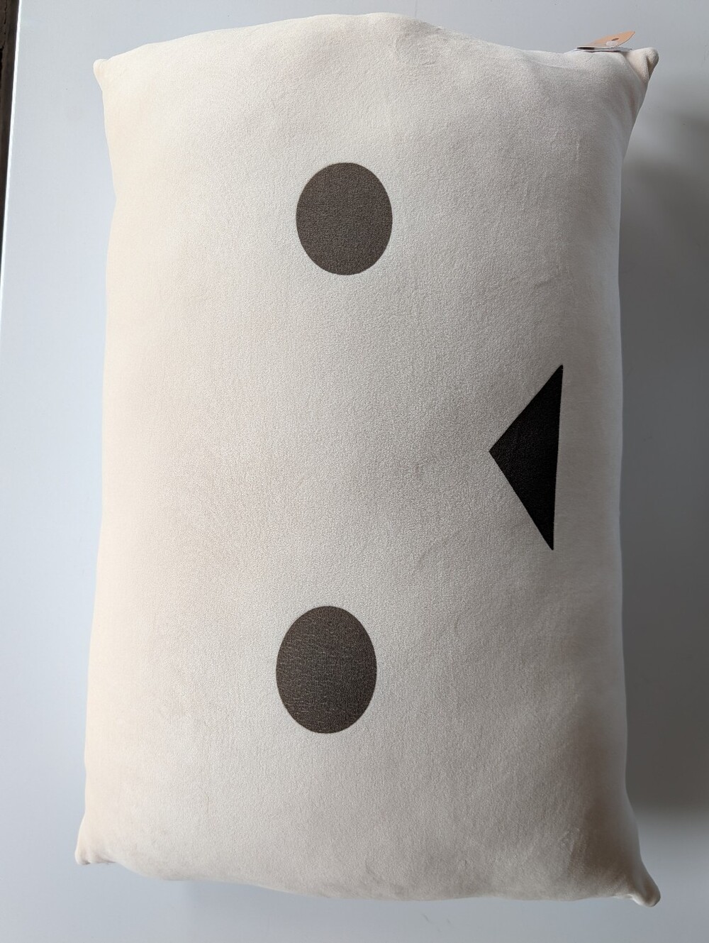 DANBOARD Big Cushion NWT JAPANESE Plush Pillow Collectible